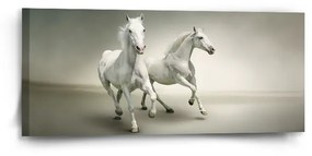 Sablio Obraz Dva biele koňe - 110x50 cm