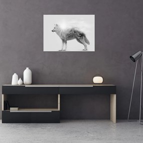 Sklenený obraz - Arktický vlk zrkadliaci divokú krajinu, čiernobiely (70x50 cm)
