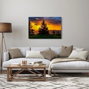 Obraz - ihličnany (90x60 cm)