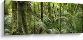 Obraz Tropický dažďový prales (s hodinami) (90x30 cm)