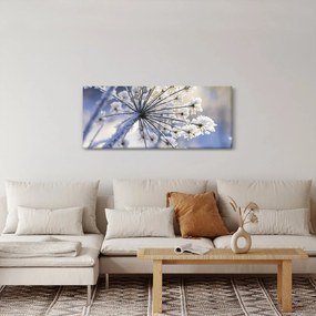Obraz - Zamrznutý kvet (120x50 cm)