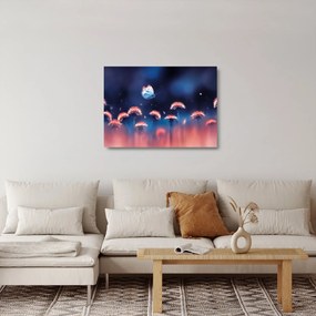 Sklenený obraz púpav s modrým motýľom (70x50 cm)