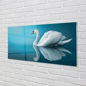 Obraz na akrylátovom skle Swan vo vode 125x50 cm