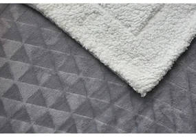 Deka z mikroplyšu 150x200 cm Sherpa - Jerry Fabrics