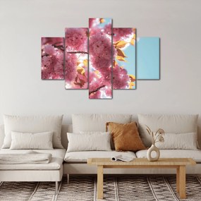 Obraz - Čerešňový kvet (150x105 cm)