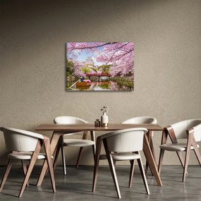Obraz japonskej čerešne (70x50 cm)