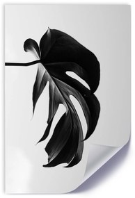 Gario Plagát Čierna a biela monstera list Farba rámu: Bez rámu, Veľkosť: 20 x 30 cm