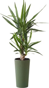 Květináč URBANIKA ECO Wood 46,6x25,5 cm zelený