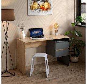 PC stolík Titanes (dub artisan + grafit) . Vlastná spoľahlivá doprava až k Vám domov. 1116532