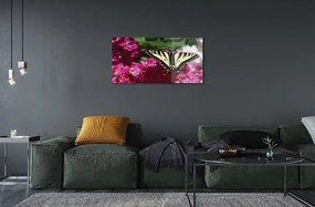 Sklenený obraz kvety motýľ 140x70 cm