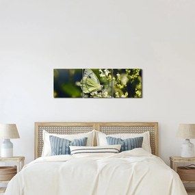 Obraz motýľa (s hodinami) (90x30 cm)