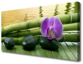 Obraz na plátne Kvet kamene bambus príroda 100x50 cm
