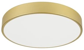 Immax NEO 07292L - LED+CCT stmievateľné stropné svietidlo SEMPLICI 36W/230V pr. 40 cm+DO