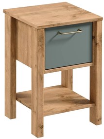 Nočný Stolík Indygo SN dub wotan-green