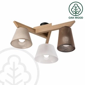Brilagi - LED  Prisadený luster ANTHONY 3xE14/40W/230V dub