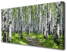 Obraz na plátne Les chodník príroda 120x60 cm