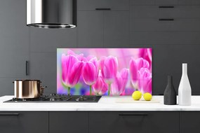 Nástenný panel  Tulipány 100x50 cm