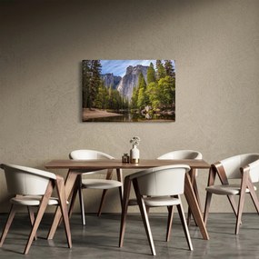 Obraz - Pod Yosemite skalou (90x60 cm)