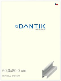 DANTIK rám na obraz 60x80 | ALU Bílá matná (Plexi Čiré)