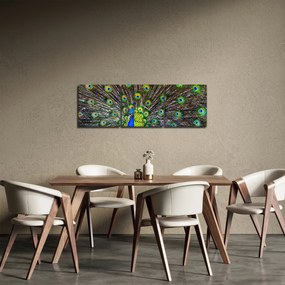 Obraz - Páv (s hodinami) (90x30 cm)
