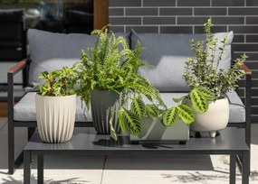 PLASTOVÝ KVETINÁČ BOTANICA SADA 2KS 30X24 CM+23X18,5 CM KRÉMOVÁ