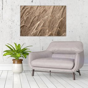 Obraz - Zlaté pole (90x60 cm)