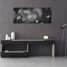 Obraz - Lúčna tráva (120x50 cm)