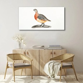 Obraz na plátne Kreslenie zvierat vták