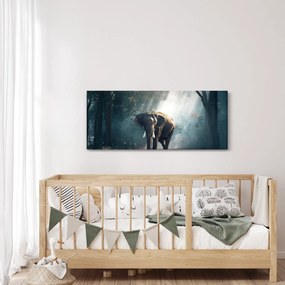 Obraz slona v džungli (120x50 cm)
