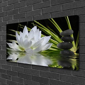 Obraz Canvas Kvety kamene zen voda 125x50 cm