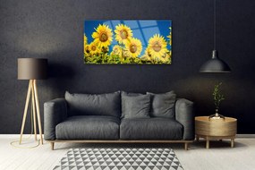 Obraz na skle Slnečnicami rastlina 120x60 cm