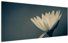 Obraz kvetu (120x50 cm)
