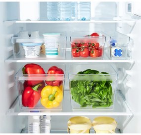 Plastový organizér do chladničky 22x20 cm Loft – Rotho