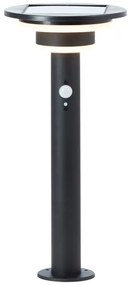 Brilliant - LED Solárna lampa so senzorom GARVINA LED/3W/3,7V 45 cm IP44 čierna