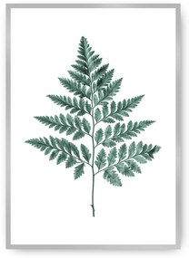 Plagát Fern 21 x 30 cm Emerald Green