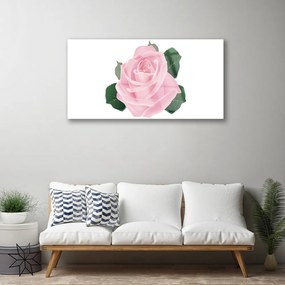 Obraz na skle Ruže kvet rastlina 100x50 cm