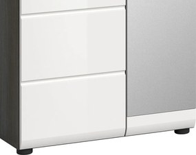 Predsieňová skriňa so zrkadlom Salsa, šedý dub/biely lesk