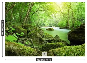 Fototapeta Vliesová Lesná rieka 152x104 cm