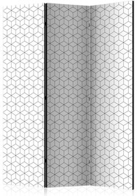 Artgeist Paraván - Cubes - texture [Room Dividers]