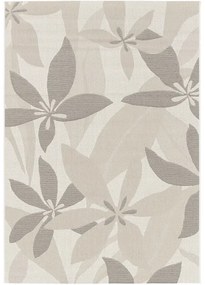 Koberec Palma 16701-561 sivý / krémový