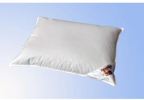 Termop vankúš Premium 70x90 cm perie/páper
