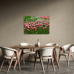 Sklenený obraz tulipánov (70x50 cm)
