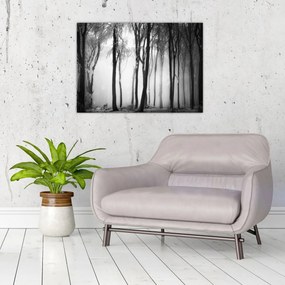 Obraz - Vlk v temnom lese (70x50 cm)