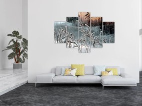 Obraz - Zamrznutá lúka (150x105 cm)
