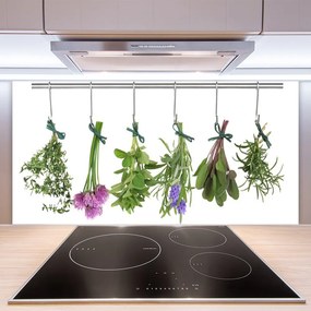 Sklenený obklad Do kuchyne Plátky rastlina kuchyňa 125x50 cm