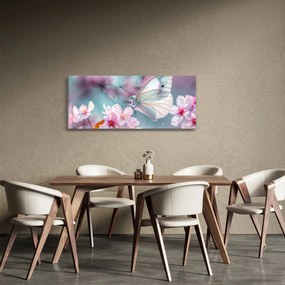 Obraz - Motýľ na čerešni (120x50 cm)
