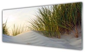 Obraz plexi Piesok tráva krajina 125x50 cm