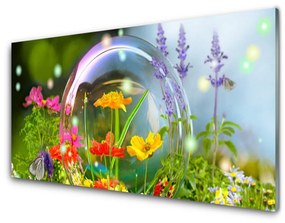 Obraz na akrylátovom skle Kvety rastlina príroda 140x70 cm