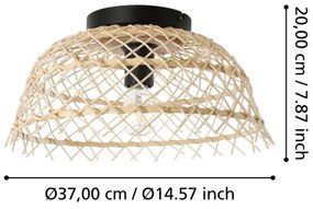 Eglo 43831 - Stropné svietidlo AUSNBY 1xE27/40W/230V