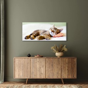 Obraz - Spiace mačiatko (120x50 cm)